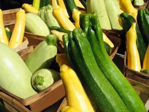 吃瓜网rss,揭秘娱乐圈热点事件